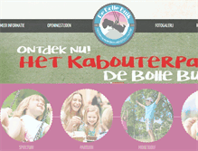 Tablet Screenshot of debollebuik.nl